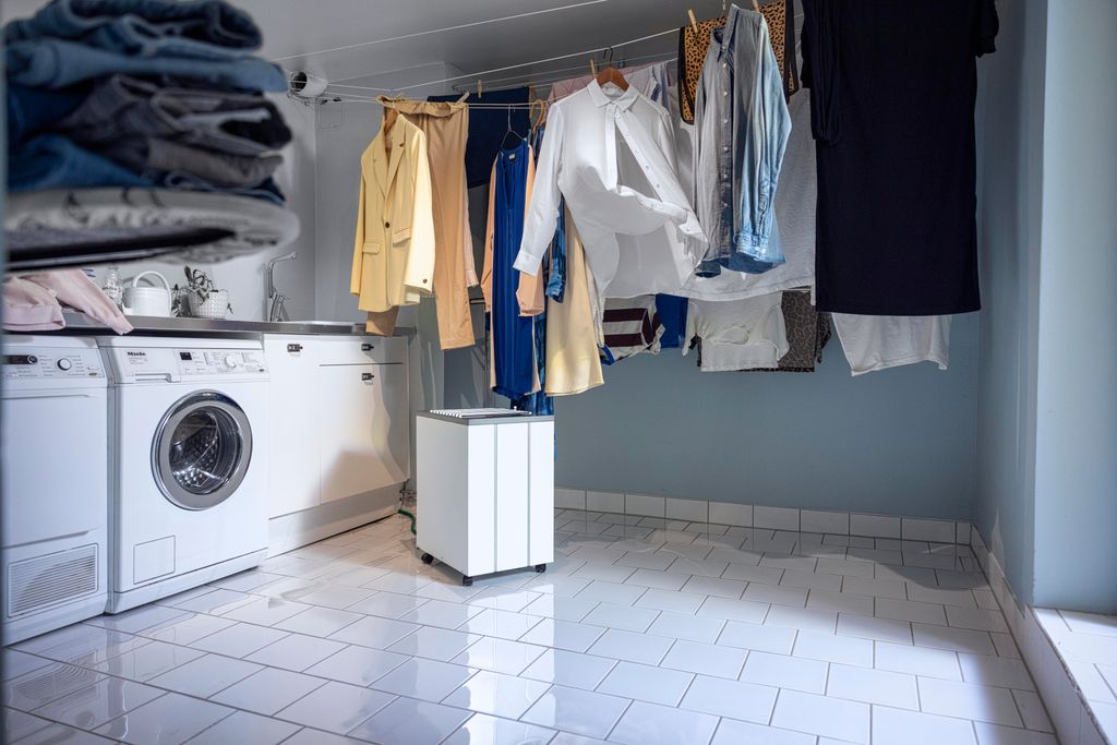 WOODS_Dehumidifier-2177 copy.jpg